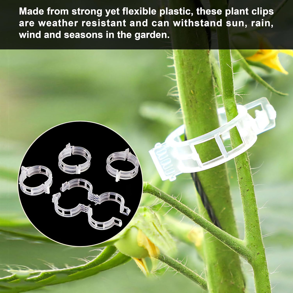 100 Counts Plant upright growth support device