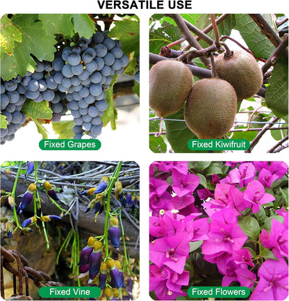 100 Counts Plant upright growth support device