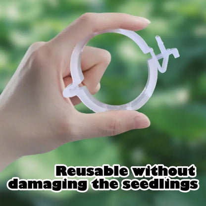 100 Counts Plant upright growth support device