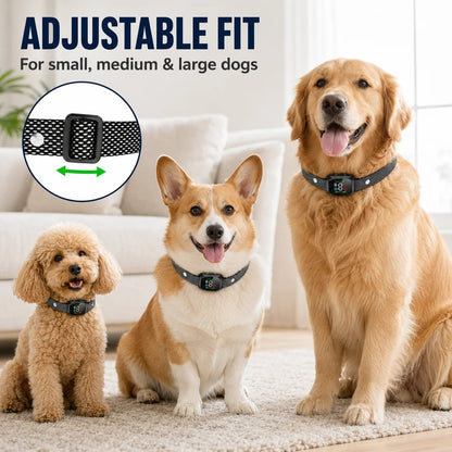 Anti Bark Collar Smart anti false triggering filters out other barks. IP67 waterproof & USB rechargeable worry free
