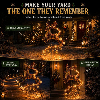 Christmas Magic Garden Collection