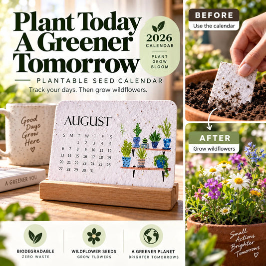 2027 Plantable Seed Calendar Grow Flowers, Herbs & Memories Month by Month