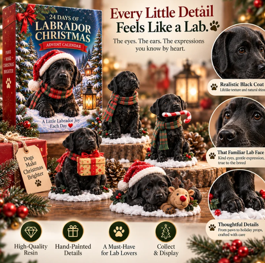 24 Days of Labrador Christmas Black Lab Advent Calendar