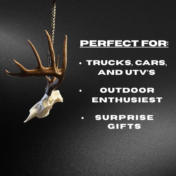 Whitetail Deer Skull Mirror Hanger