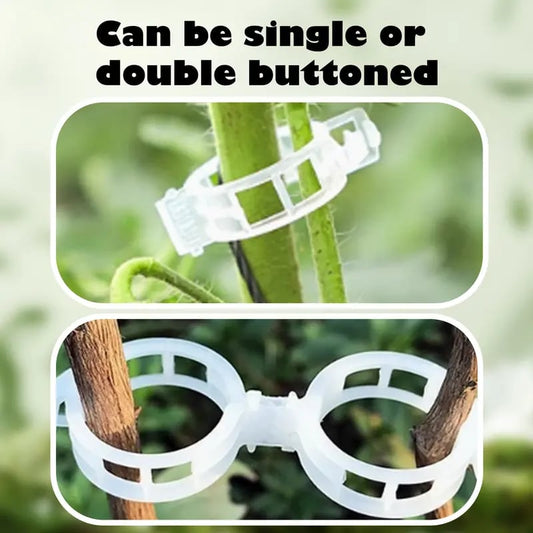 100 Counts Plant upright growth support device