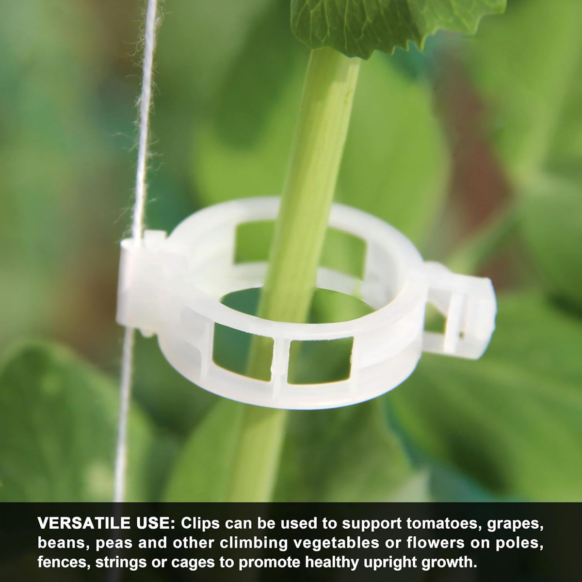 100 Counts Plant upright growth support device