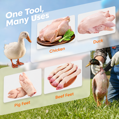2026's products Poultry electric plucker - easy plucking, saves time and energy!